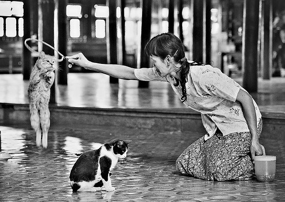 _AND7264-Edit